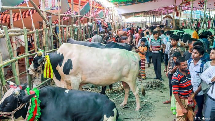 কোরবানির হাট : করোনা ছড়ানোর নতুন উদ্বেগ