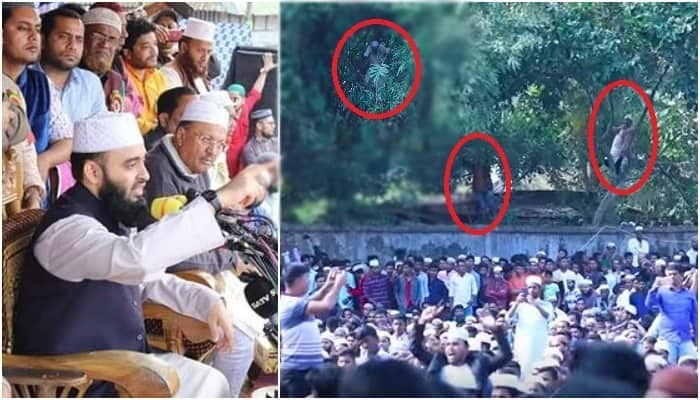 কুমিল্লায় আজহারীর ওয়াজ শুনতে গাছের ঢালে মানুষ