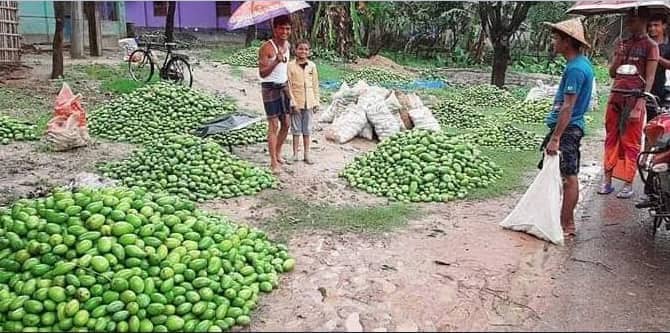 ১ বস্তা আম ৪০ থেকে ৫০ টাকায় বিক্রি