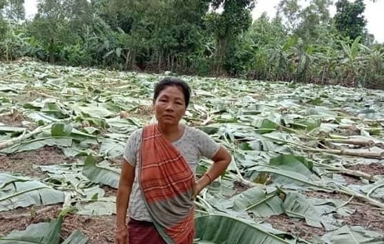 সেই বাসন্তীকে সহায়তা দেবে প্রশাসন