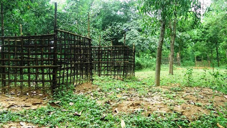 কবরস্থানে ফল গাছ লাগানো এবং তা খাওয়া কি জায়েজ?