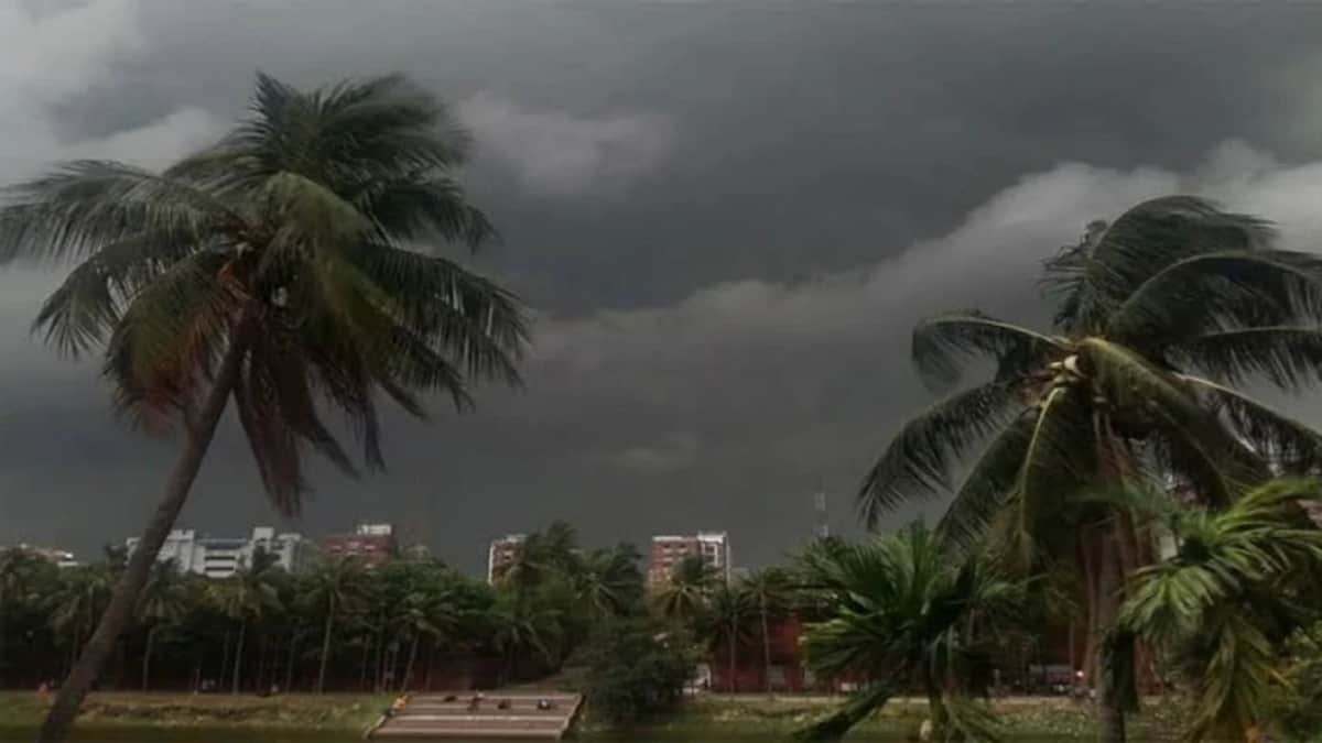 ঝোড়ো