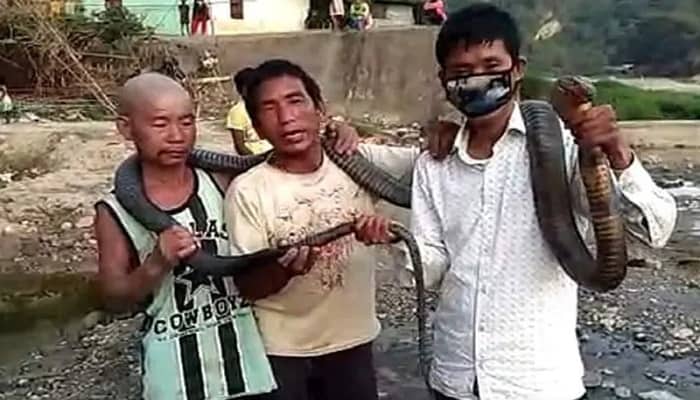 খিদের জ্বালা সইতে না পেরে গোখরা সাপ খেল মানুষ!