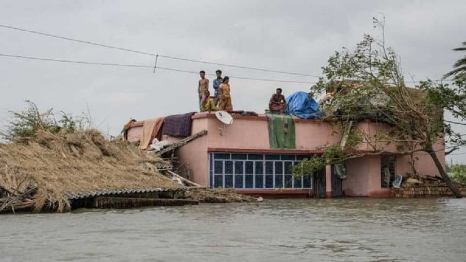 আম্পানে সুন্দরবন এলাকা ও টাইগার রিজার্ভের ব্যাপক ক্ষয়ক্ষতি