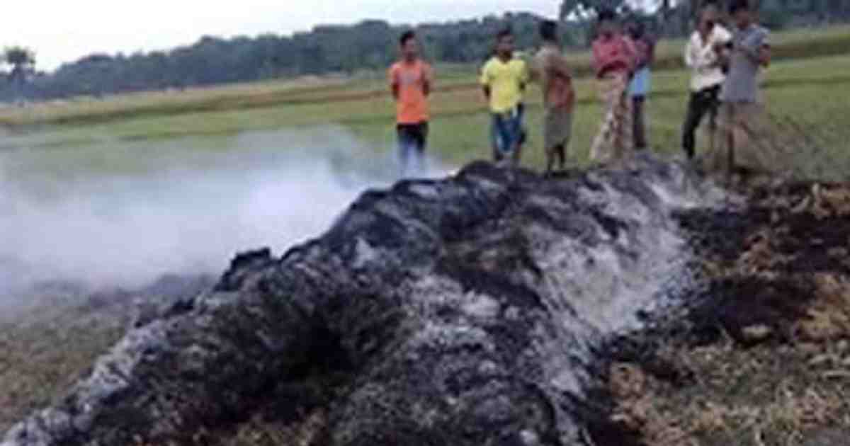 বজ্রপাতের আগুনে পুড়ে গেছে যশোরের এক কৃষকের ধান