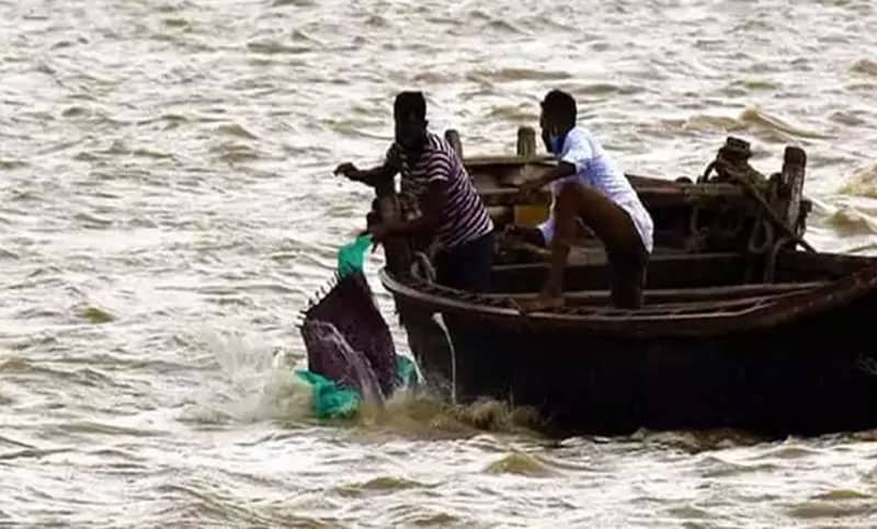 করোনায় মৃতদেহ ছুড়ে ফেলা হচ্ছে গঙ্গায়!