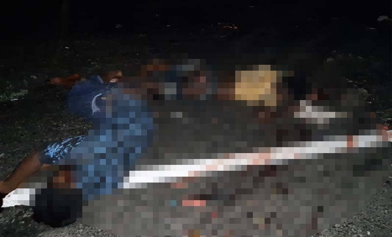 তাড়াশে ট্রাকের ধাক্কায় নসিমনচালকসহ তিন জনের প্রাণহানি