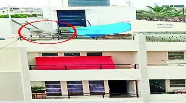 ছয়তলা ভবনের ছাদ থেকে গরু উদ্ধার!