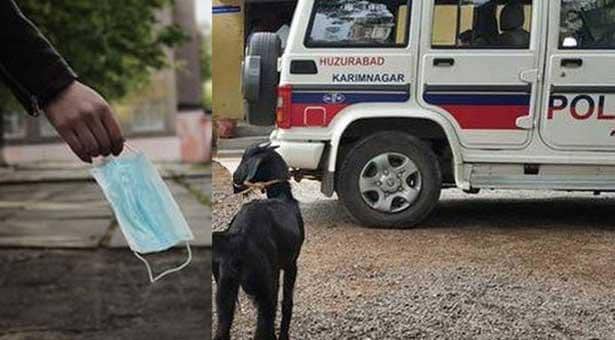 মাস্ক না পরায় পুলিশের হাতে ছাগল গ্রেফতারের ঘটনায় তোলপাড়!