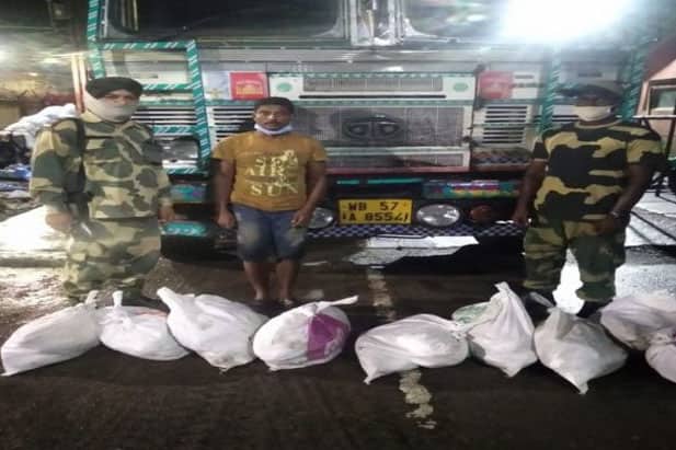 চোরাই পথে ভারতে নেয়ার সময় ১২৬ কেজি বাংলাদেশি ইলিশ জব্দ