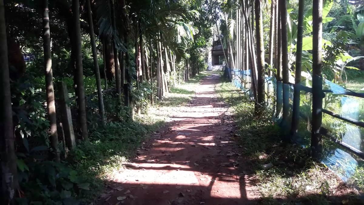সাংবাদিক, সাহিত্যিক কবি আবু জাফর শামসুদ্দীনের প্রয়ান দিবস আজ