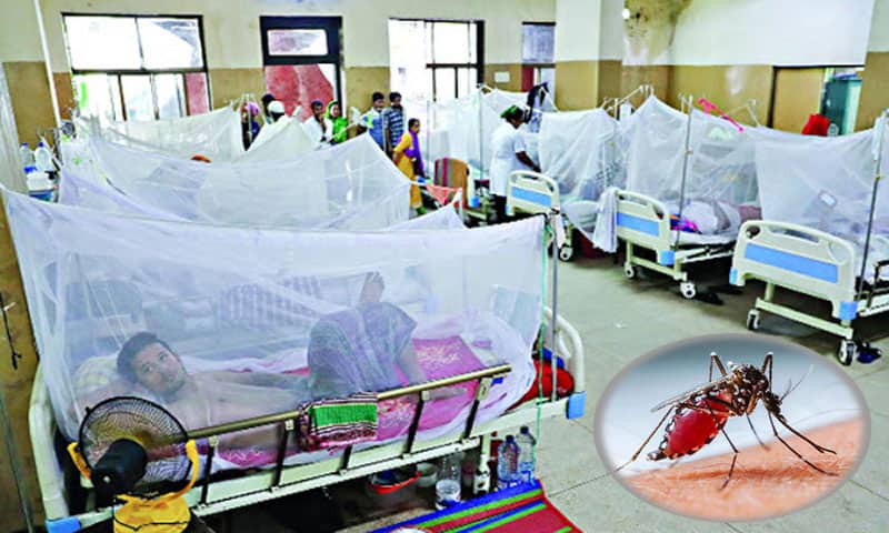 ডেঙ্গু ১৬ রোগী হাসপাতালে চিকিৎসাধীন