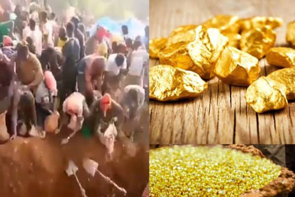 মাটি খুঁড়লেই মিলছে স্বর্ণ, কথিত ‘সোনার পাহাড়’ ঘিরে মানুষের ঢল!