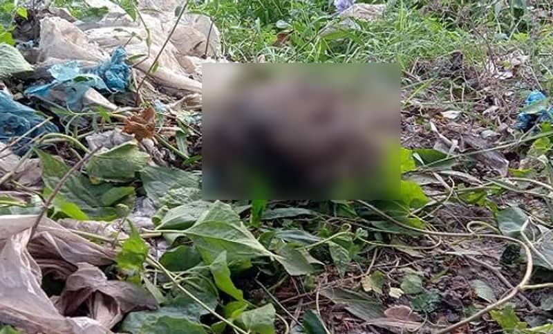 খেলার সময় শিশুরা দেখল মাথার খুলি, বস্তাবন্দি হাড়