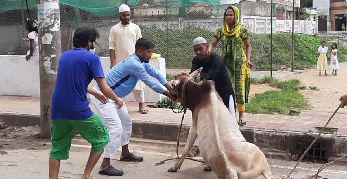 ‘ঝামেলা এড়াতে’ নির্ধারিত স্থানে না গিয়ে বাসার পাশে কোরবানি