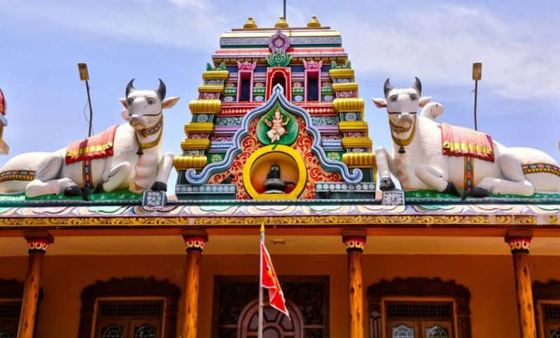 শ্রীলংকায় গরু জবাই নিষিদ্ধের প্রস্তাব অনুমোদন