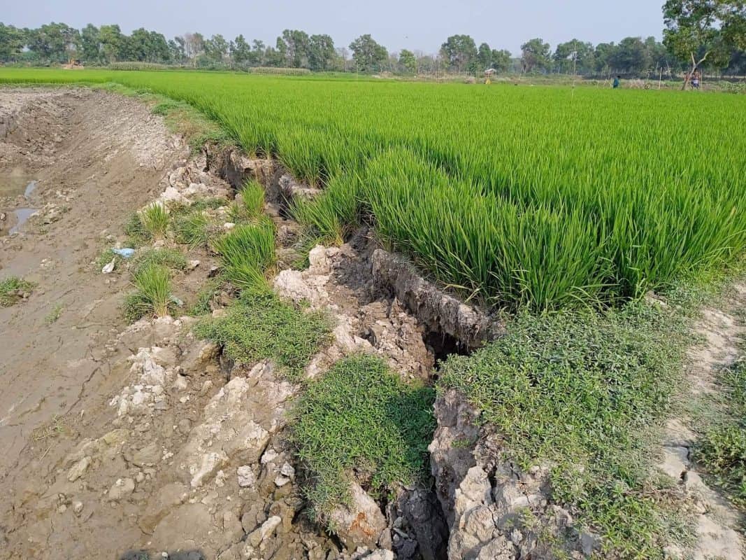 মানিকগঞ্জে ফসলি জমির মাটি যাচ্ছে ইটভাটায়