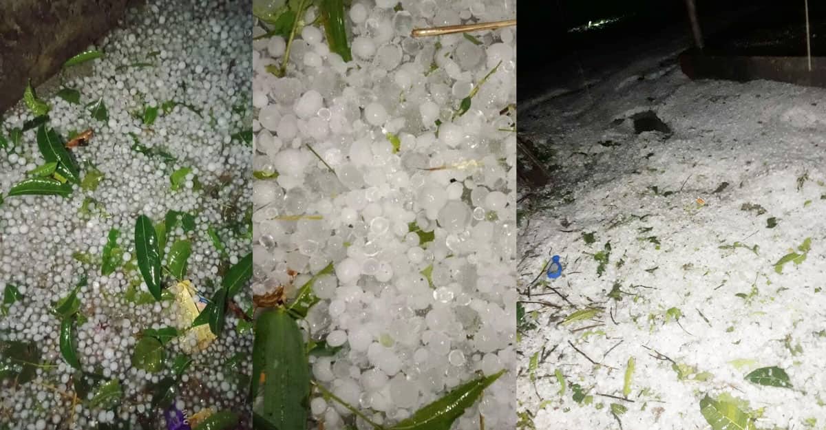 ১০ মিনিটের শিলার তাণ্ডবে তছনছ হয়ে গেল আম চাষিদের সবকিছু