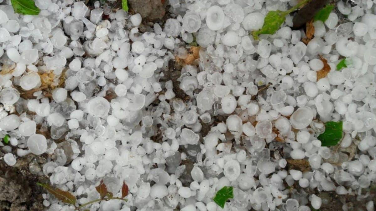 আবহাওয়া নিয়ে দু:সংবাদ, বজ্রসহ শিলাবৃষ্টি নিয়ে যে খবর