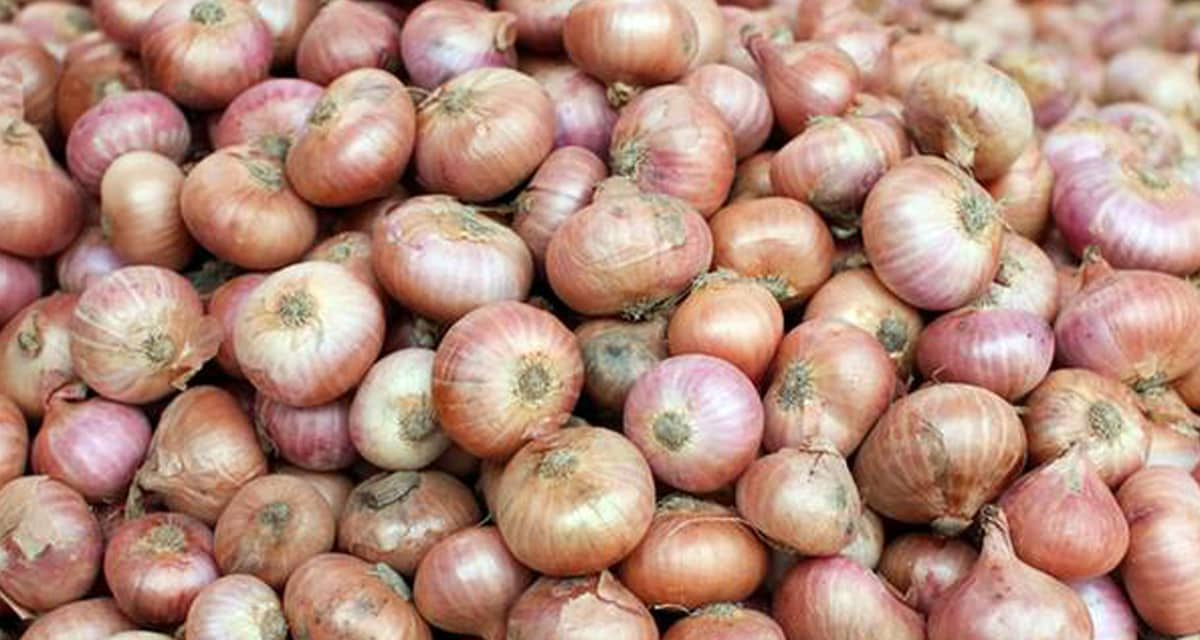 পেঁয়াজ
