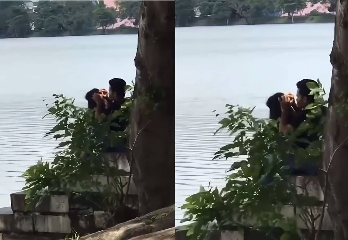 নির্জন স্থানে বসে প্রেমিকার উকুন মারছে প্রেমিক, ভালোবাসার অন্য এক রুপ