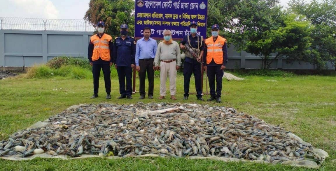 চট্টগ্রামে নেওয়া হচ্ছিল বিষাক্ত জেলি পুশকৃত ৬০০ কেজি চিংড়ি