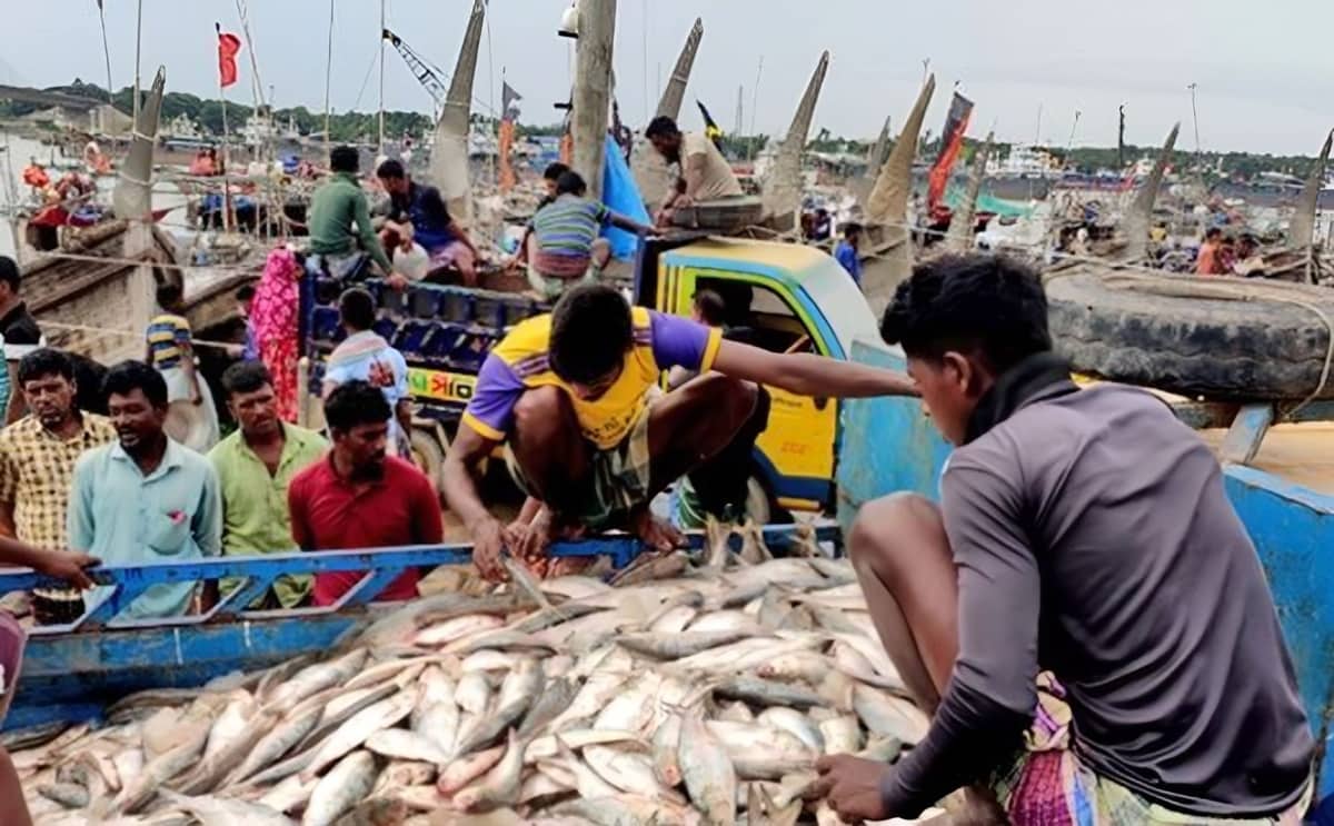 সবার পাতে জোটে না রুপালি ইলিশ