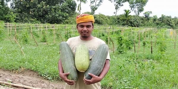 ইঞ্জিনিয়ারিং পেশা ছেড়ে সফল কৃষি উদ্যোক্তা আজিজুর