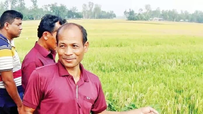 নতুন দুই জাতের ধান চাষে সফল কৃষক সেন্টু, এলাকায় আলোড়ন সৃষ্টি