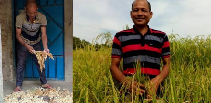 নতুন দুই জাতের ধান চাষে সফলতা কৃষক সেন্টুর, এলাকায় আলোড়ন সৃষ্টি