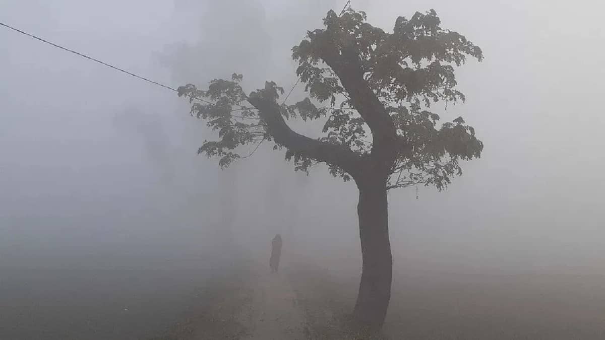 কুড়িগ্রামে তীব্র ঠাণ্ডায় বিপর্যস্ত জনজীবন