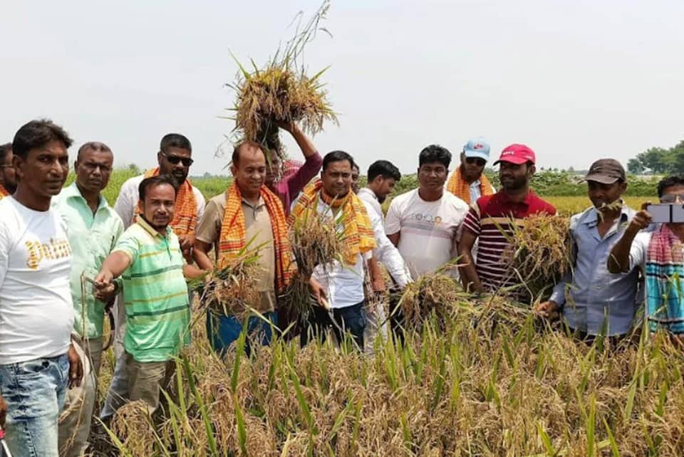 কৃষকের ধান কেটে দিল যুবলীগ