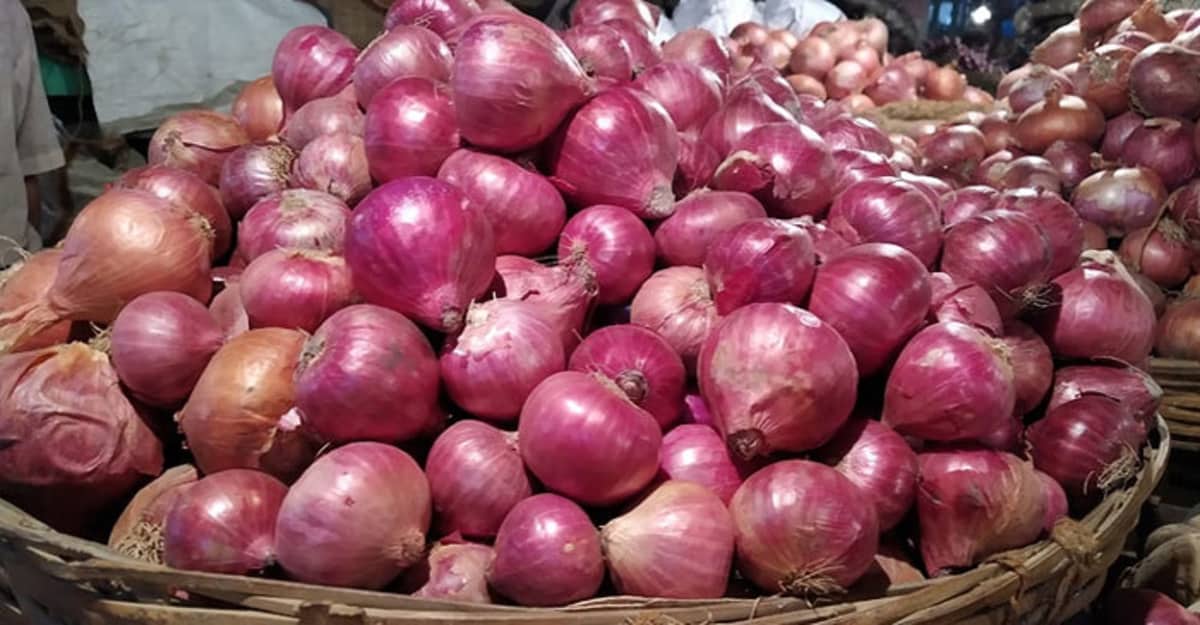 ভারতীয় পেঁয়াজ