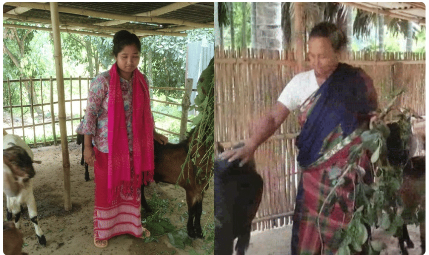 প্রতি মাসে ছাগল বিক্রির টাকা দিয়ে সংসার চলে তাদের