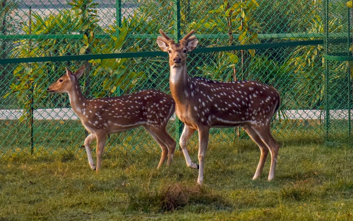 গাইবান্ধার ‘এসকেএস ইন’: উত্তরের মানুষের রুচিশীলতার প্রতীক