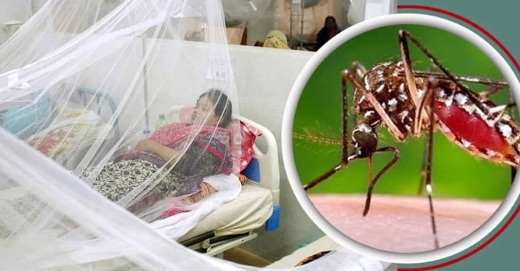 জুনের চেয়ে জুলাইয়ে ডেঙ্গু বেড়েছে ৭ গুণ : স্বাস্থ্য অধিদফতর