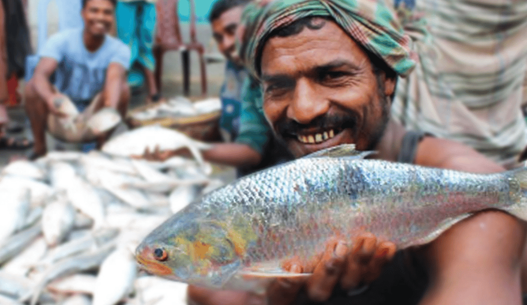 ইলিশের বাজার