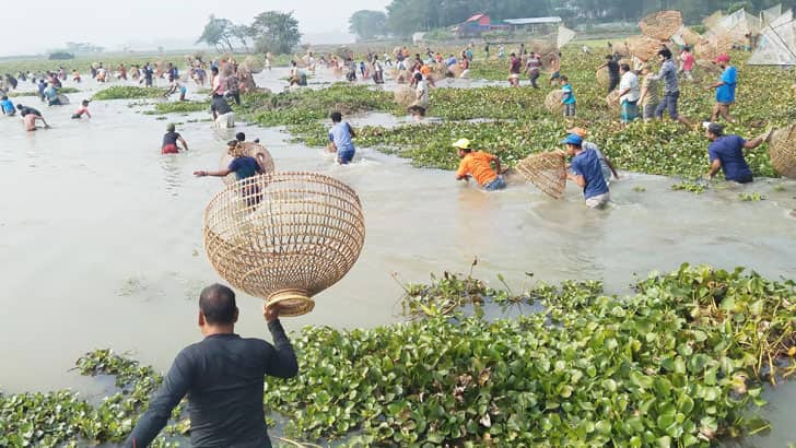 পলো বাওয়া উৎসবে মাছ ধরতে যুক্তরাজ্য থেকে সিলেটে যুবক