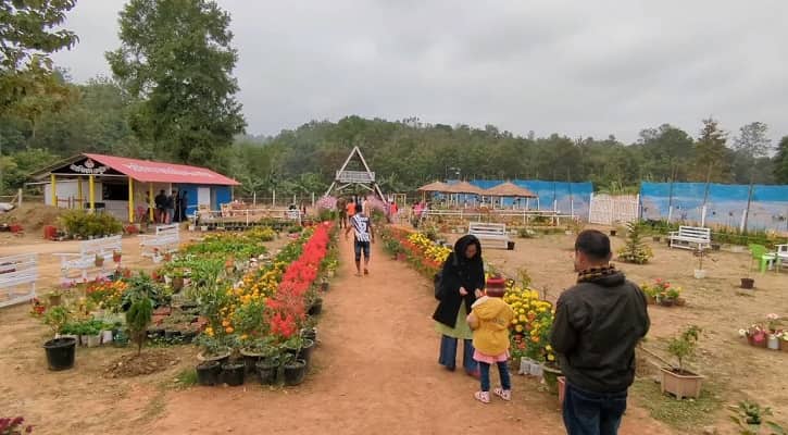 পাহাড়ে নজর কাড়ছে সাগরের নার্সারি রেস্তোরাঁ