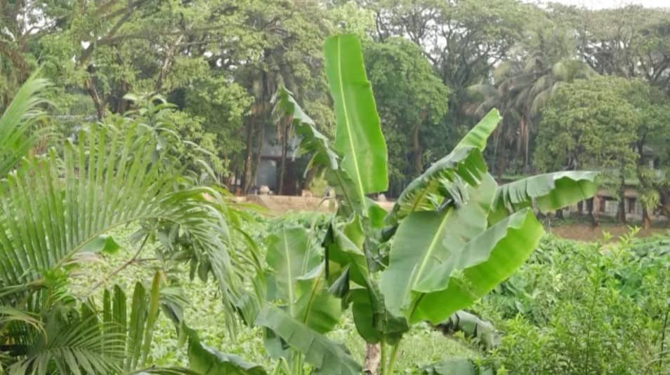 তাপদাহ নেই, শীতল বাতাসে প্রশান্তিতে সিলেটের মানুষ