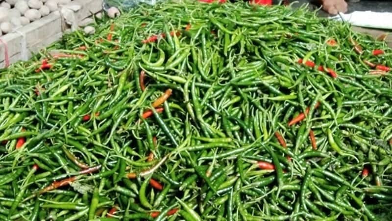 মুহূর্তেই ৪০০ টাকার কাঁচা মরিচ ১৮০ টাকা হয়ে গেল