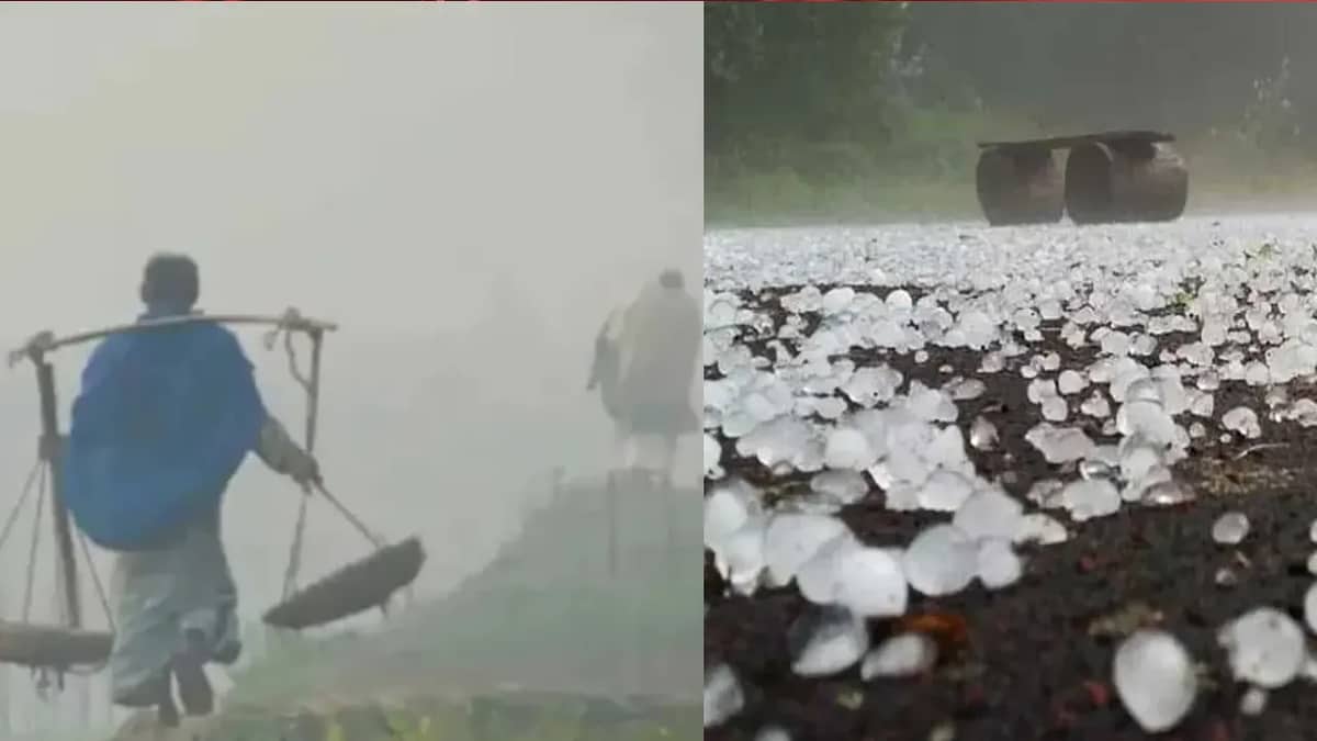 ৮ ডিগ্রি তাপমাত্রা