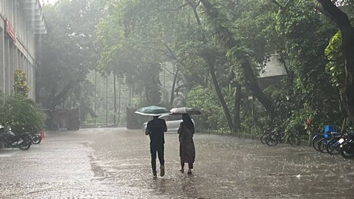 Rain