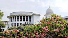 জামান হত্যা