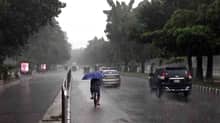 Rain
