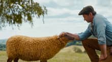 Sheep Detectives Prime Video