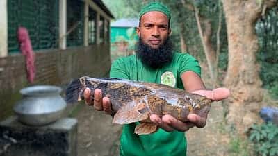 গাজীপুরে ফের ধরা পড়েছে বিরল মার্বেল গোবি মাছ গাজীপুরে ফের ধরা পড়েছে বিরল মার্বেল গোবি মাছ
