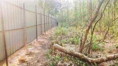 গাজীপুরে অভিযানের পরেও চলছে বন দখল