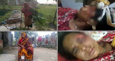অচেনা প্রাণীর আক্রমন