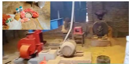 হলুদ-মরিচের গুঁড়ায় মিশানো হচ্ছে হাঁস-মুরগির খাবারে রঙ!